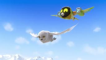 Mission: Snowy Owl Rescue