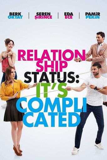 İlişki Durumu: Karışık dizi afişi