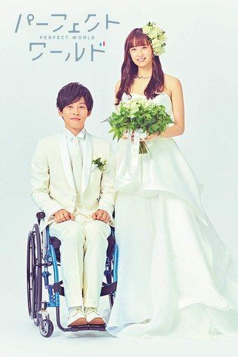 Perfect World dizi afişi