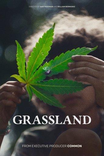 Grassland film afişi