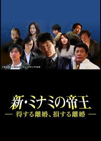 The King of Minami Returns: A Winning Divorce, a Losing Divorce film afişi