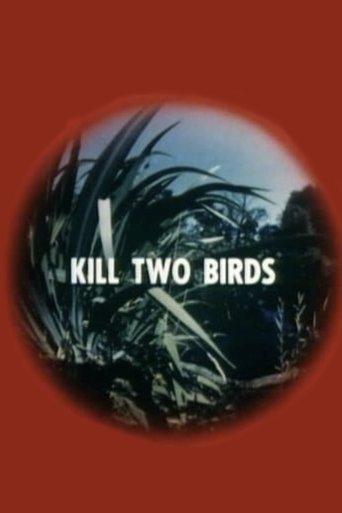 Kill Two Birds film afişi