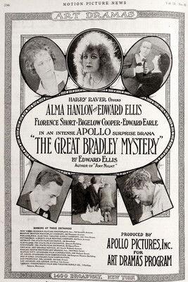 The Great Bradley Mystery film afişi