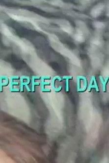 Perfect Day film afişi