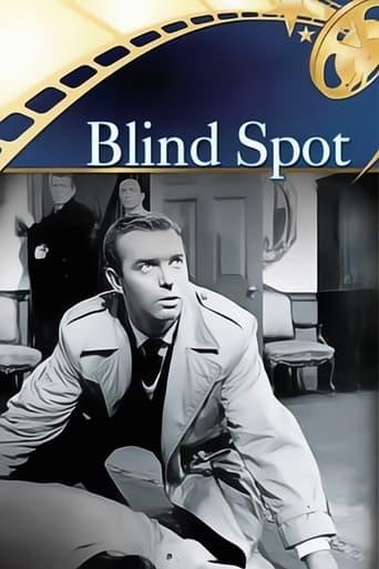 Blind Spot film afişi