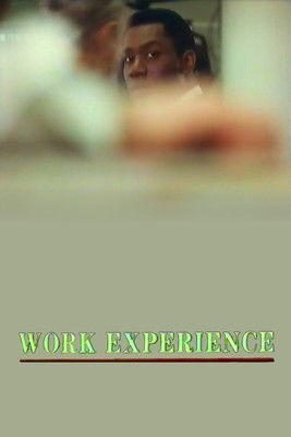 Work Experience film afişi