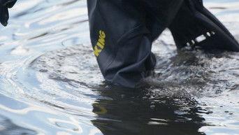 The Rifkin Murders (2)