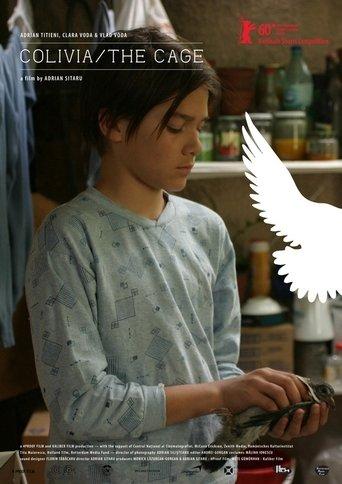 The Cage film afişi