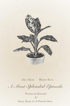 A Most Splendid Episode film afişi