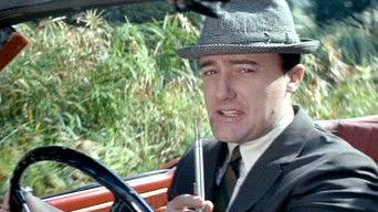 The Bridge of Lions Affair (1)