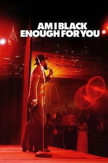 Am I Black Enough for You film afişi