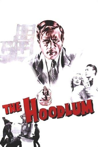 The Hoodlum film afişi