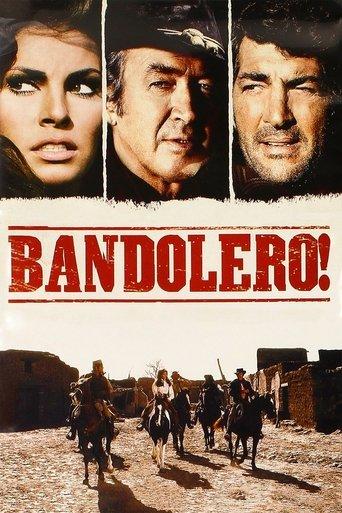 Bandolero! film afişi