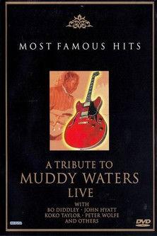 A Tribute to Muddy Waters - Live film afişi