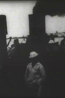 Panoramic View of Newport film afişi