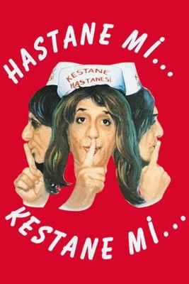 Hastane mi Kestane mi film afişi