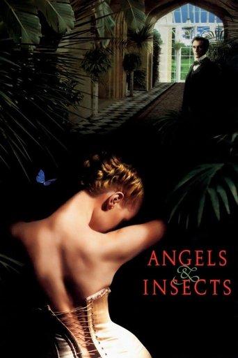 Angels and Insects film afişi