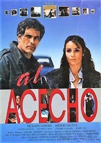 Al acecho film afişi