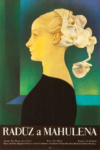 Radúz a Mahulena film afişi