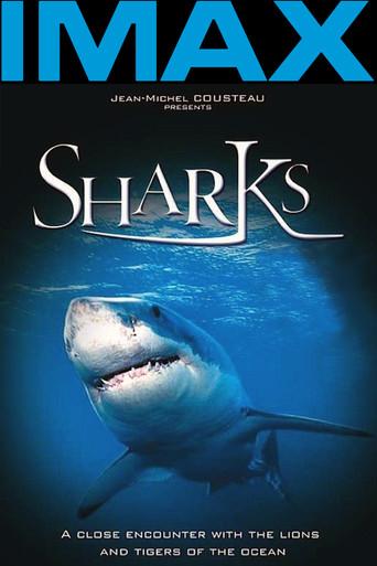 Sharks 3D film afişi