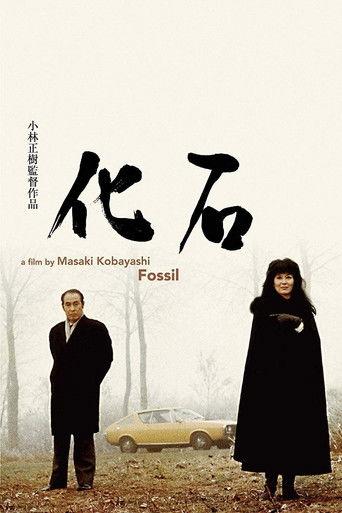 The Fossil film afişi