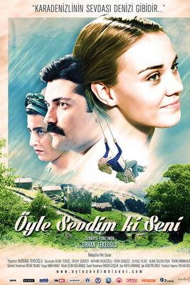 Öyle Sevdim ki Seni film afişi