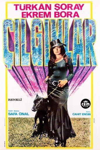 Crazy People film afişi