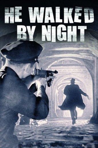 He Walked by Night film afişi