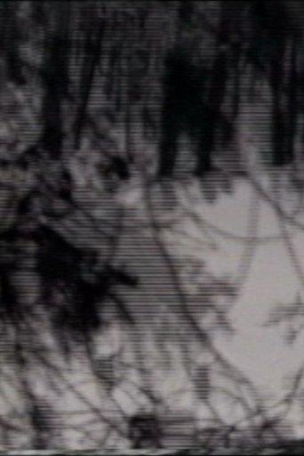 Six Fifty film afişi