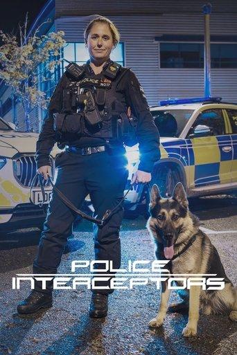 Police Interceptors dizi afişi