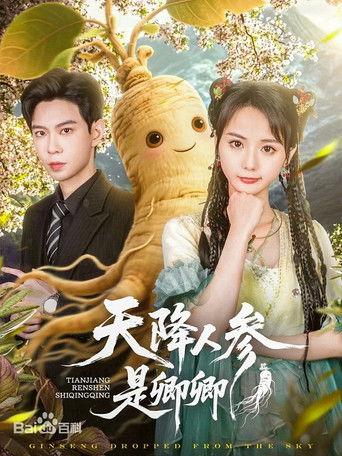 天降人参是卿卿 dizi afişi