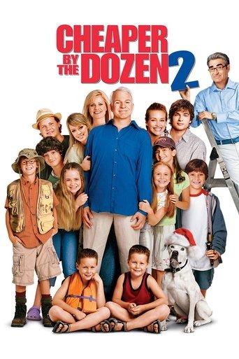 Cheaper by the Dozen 2 film afişi