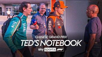 Chinese Grand Prix - Shanghai International Circuit, Shanghai: Qualifying