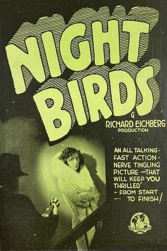 Night Birds film afişi