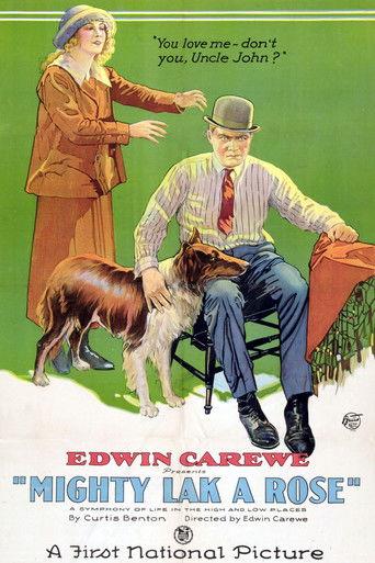 Mighty Lak' a Rose film afişi