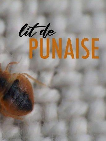 The Bedbug film afişi