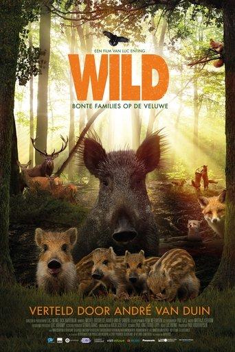Wild film afişi