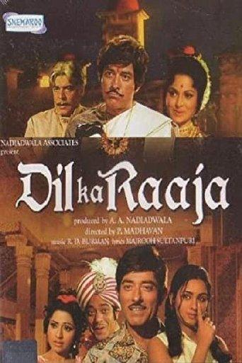 Dil Ka Raaja film afişi