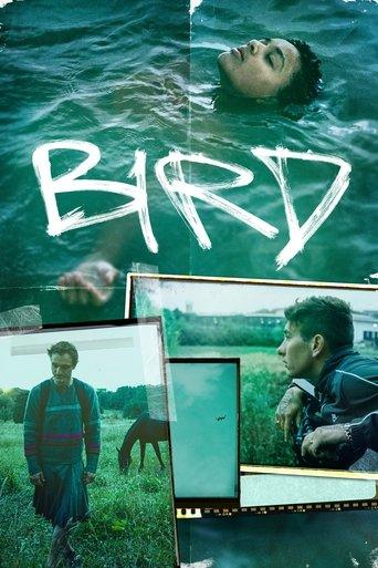 Bird film afişi
