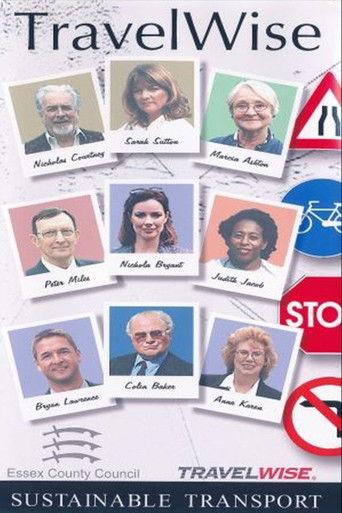 TravelWise film afişi