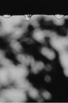 While You Were Sleeping film afişi