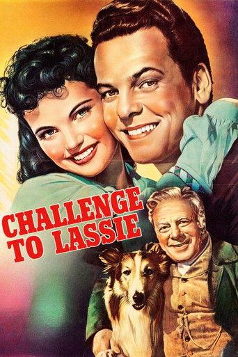 Challenge to Lassie film afişi