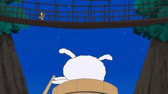 The Rope Bridge Rhapsody