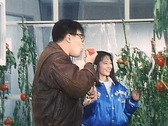 The Tomato Field's Great Demon King