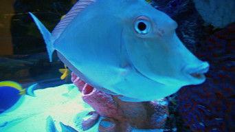 Popcorn on the High Seas