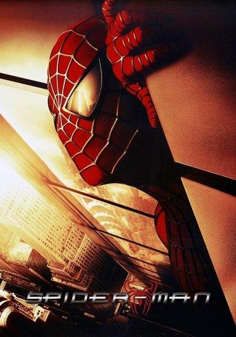 Spider-Man: The Mythology of the 21st Century film afişi
