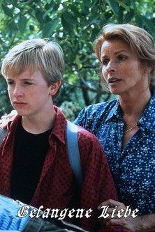 Captive Love film afişi