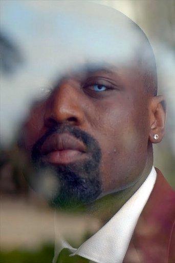 The Ideal Son-in-Law film afişi