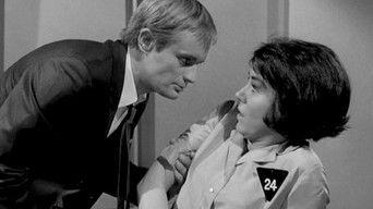 The Mad, Mad, Tea Party Affair