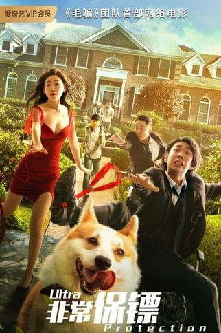 Ultra Protection film afişi